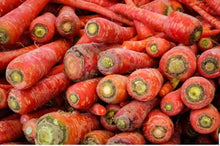 Atomic Red Carrot Seeds for growers stocking a kitchen garden
