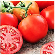 Giant Tomato Seeds (Solanum lycopersicum) for productive rows in the vegetable patches and home gardens