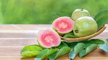 Guava Tree Seeds for a sweet addition to the home orchard