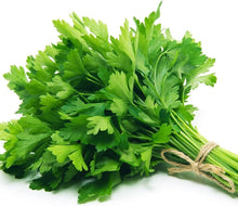 Laika Parsley Petroselinum Crispum Seeds for a flavorful crop in the Herb Garden & Vegetable Patch