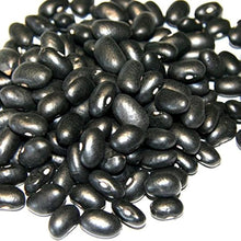 BEAN Black turtle POLE BEAN HEIRLOOM ORGANIC + Seeds for growers stocking a kitchen garden