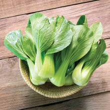 Joi Choi Seeds (Brassica rapa) for colorful blooms in the vegetable patches and home gardens