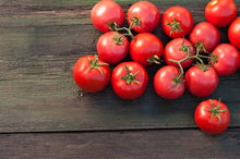Porter Tomato Seeds for productive rows in the Delicious Garden-Fresh Tomatoes