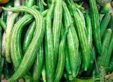Snake Gourd Seeds (Trichosanthes cucumerina) for a fresh homegrown crop from the vegetable patch urban garden