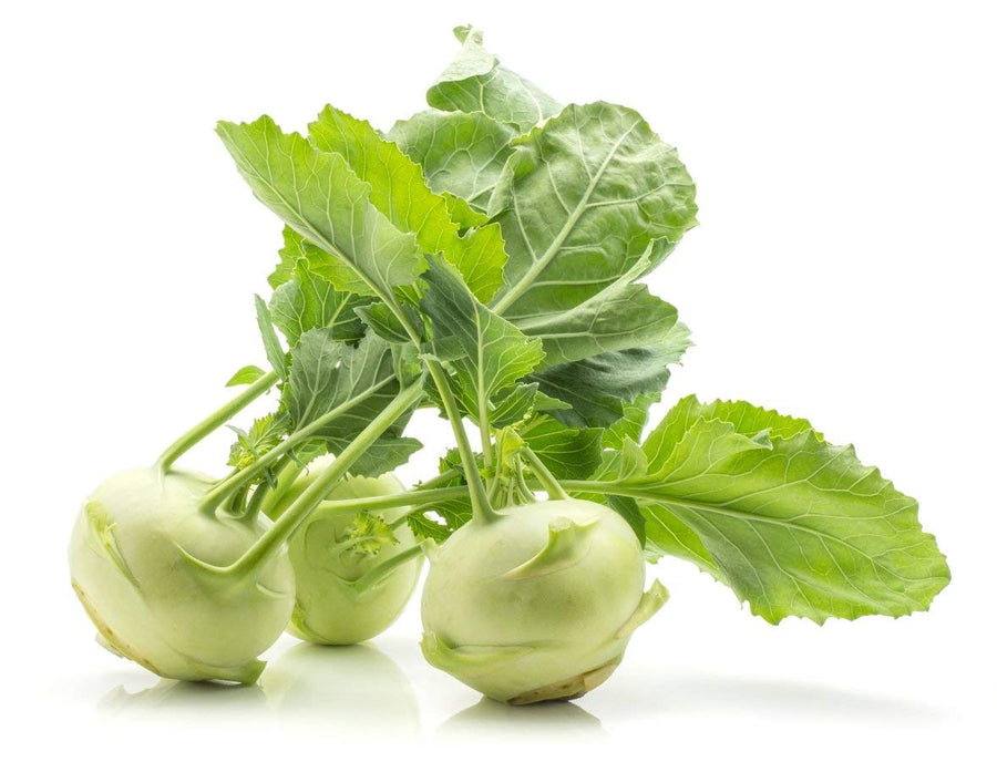 Kohlrabi Vienna White seeds easy to grow