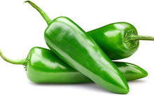 Chilean Bellflower Snowbird Seeds for reliable seasonal color