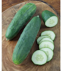 Straight Eight Cucumber Seeds for a reliable harvest in the Organic Gardens