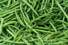 Bean Burpee Stringless Green Bean Heirloom Organic Seeds for growers stocking a kitchen garden