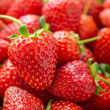 Hanging Basket Strawberry Seeds for growers planting the Container Planting