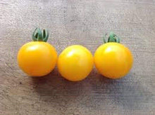Aunt Ruby's Yellow Cherry Tomato Seeds for a reliable harvest in the Your Garden