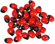 Red Iris Seeds for seasonal color across the Stunning Garden Displays