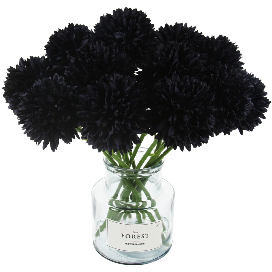 Chrysanthemum Mixed Perennial Flower - for planting in home garden