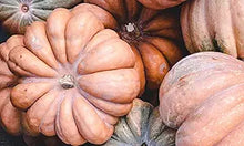 Mixed Sweet Potato Seeds (Ipomoea batatas) for a reliable harvest in the Vegetable Patch
