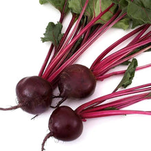 Cylindra Heirloom Beetroot Seeds for a fresh homegrown crop from the vegetable patch