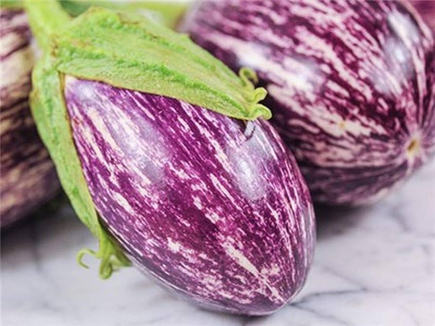 Listada De Gandia eggplant seeds