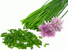 Fine chives seeds