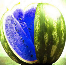 Watermelon Seeds (Citrullus lanatus) for a fresh homegrown crop from the Home Vegetable Patch