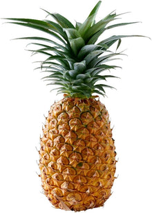 Pineapple Seeds (Ananas comosus) for growers planting the Urban Garden