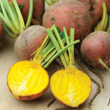Golden Beet Detroit Seeds for a fresh homegrown crop from the Vegetable Patch Organic Farming