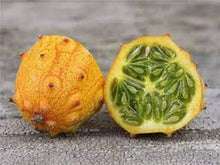Afrikanische Kiwano Seeds known for exotic, spiky-fruit plants that add a tropical touch to