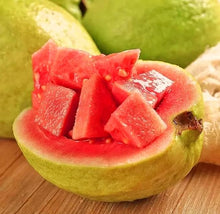 Guava Seeds (Psidium guajava) for a homegrown harvest from the Tropical Garden