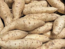 White Skin Sweet Potatoes Tuber Seeds for growers seeking a long-blooming display