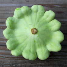 Benning’s Green Seeds (Tint scallop) for a productive addition to the vegetable patch