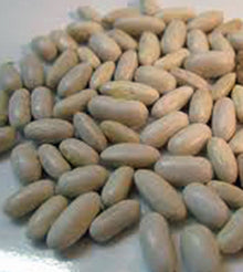 Slenderette Bean (Phaseolus vulgaris) for planting in home garden