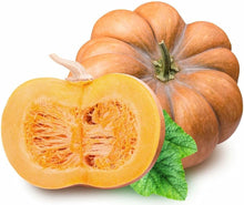 Calabaza Pumpkin Seeds for a reliable harvest in the Cucurbita patch edible garden