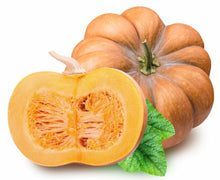 Pumpkin Cucurbita Pepo Winter Luxury Seeds prized among growers for fall Harvest