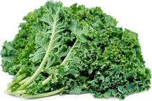 Kale Green Bonsai Seeds for growers stocking a kitchen garden
