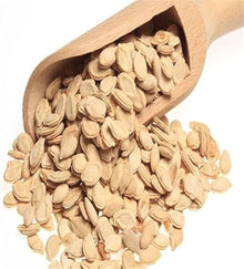 Cauldron Gourd Seeds (Cucurbita pepo) for growers stocking the decorative gardens and autumn displays