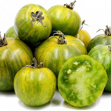 Green Zebra Tomato Seeds for growers stocking the Your Garden
