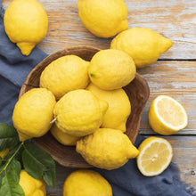 Meyer Lemon Seeds (Citrus limon) for long-term planting in the Garden
