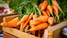 Denver Carrot Seeds for growers stocking a kitchen garden