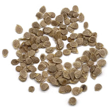 Hard Rock Tomato Seeds (Solanum lycopersicum) for a reliable harvest in the high-yield, resilient garden tomatoes