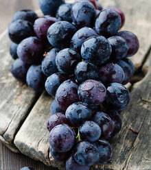 Kyoho Grape Seeds (Vitis vinifera) for a homegrown harvest from the Garden & Urban Garden
