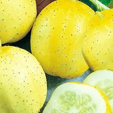 Cucumber Eating for planting in home garden.