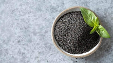 Stevia Rebaudiana Herb Seeds for a colorful addition to any planting