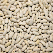 Bean Slenderette Samen Bio NON-GMO Seeds (Samen pro) for growers stocking a kitchen garden