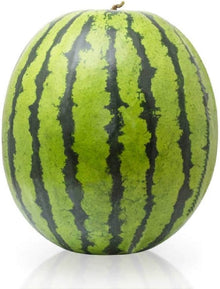 Florida Giant Watermelon Seeds for productive rows in the Home Garden & Vegetable Patch
