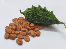 Bitter Melon Seeds (Momordica charantia) for a fresh homegrown crop from the Vegetable Patch & Garden