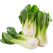 Broccoli Brassica Oleracea De Cicco Non-GMO Organic Seeds for growers stocking the Early Harvests in Home Gardens