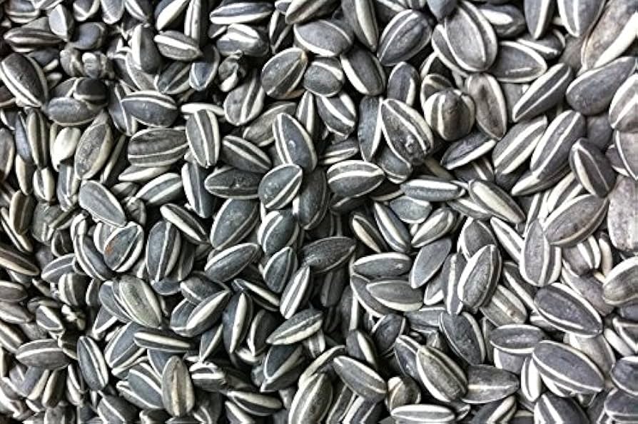 Sunflower Seeds for a colorful addition to any planting