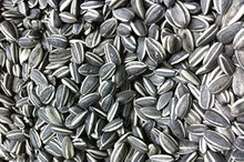 Sunflower Seeds for a colorful addition to any planting