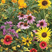 Mixed Butterflies Wildflower Seeds for a bright addition to the Pollinator Gardens