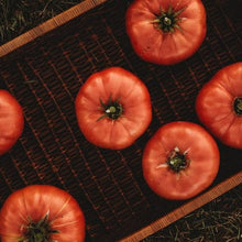 German Giant Tomato Seeds (Solanum lycopersicum) for productive rows in the kitchen gardens