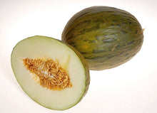 Melon Seeds (Cucumis melo) for a reliable harvest in the kitchen garden or raised beds