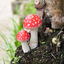 Mini Red Mushroom garden ornament seeds for micro garden decor and indoor plant accents - for planting in home garden