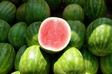 Kakhovskiy Watermelon Seeds for productive rows in the vegetable patch